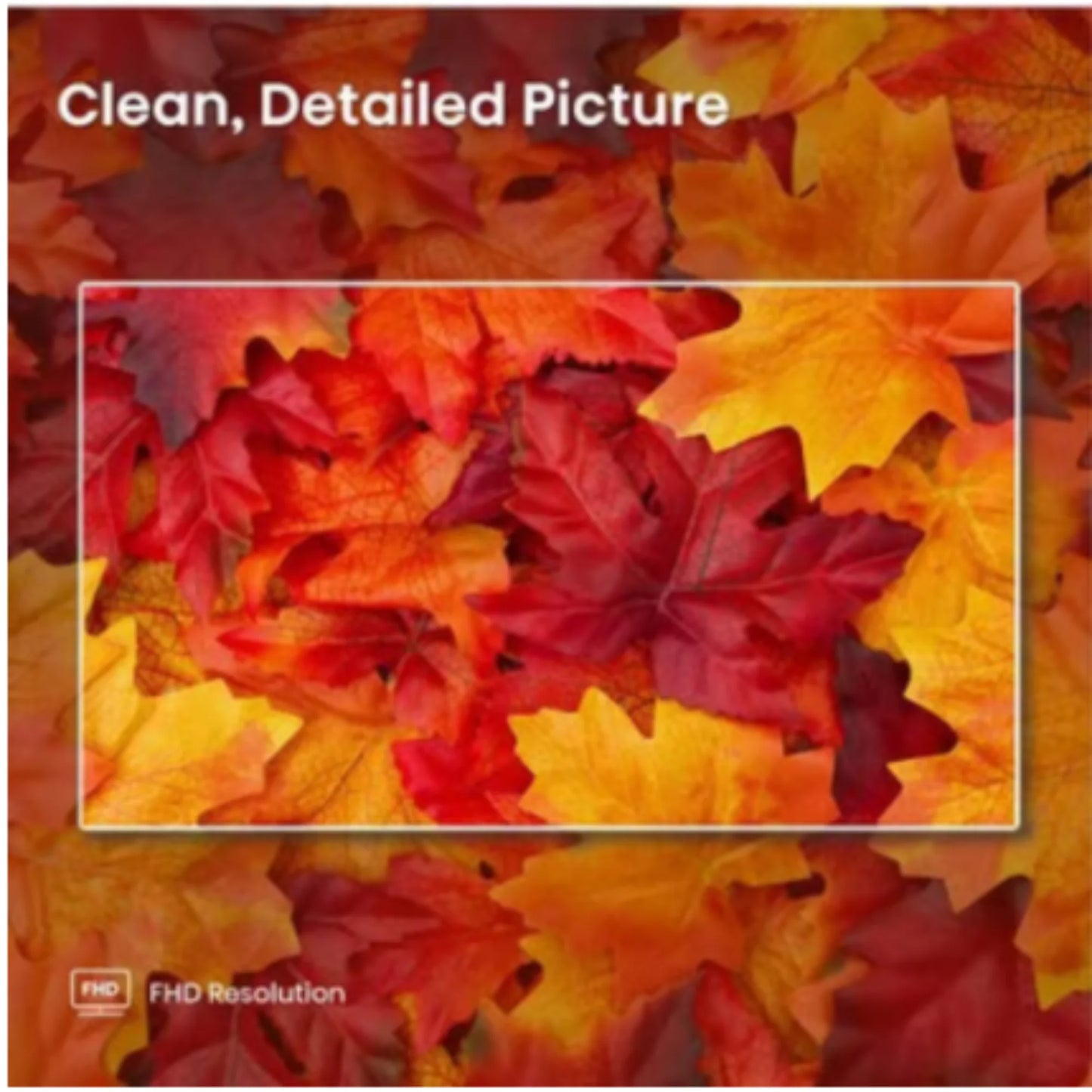 Hisense 50R6E4 50-Inch Class 4K 2160p Ultra HD Smart LED TV(Refurbished)