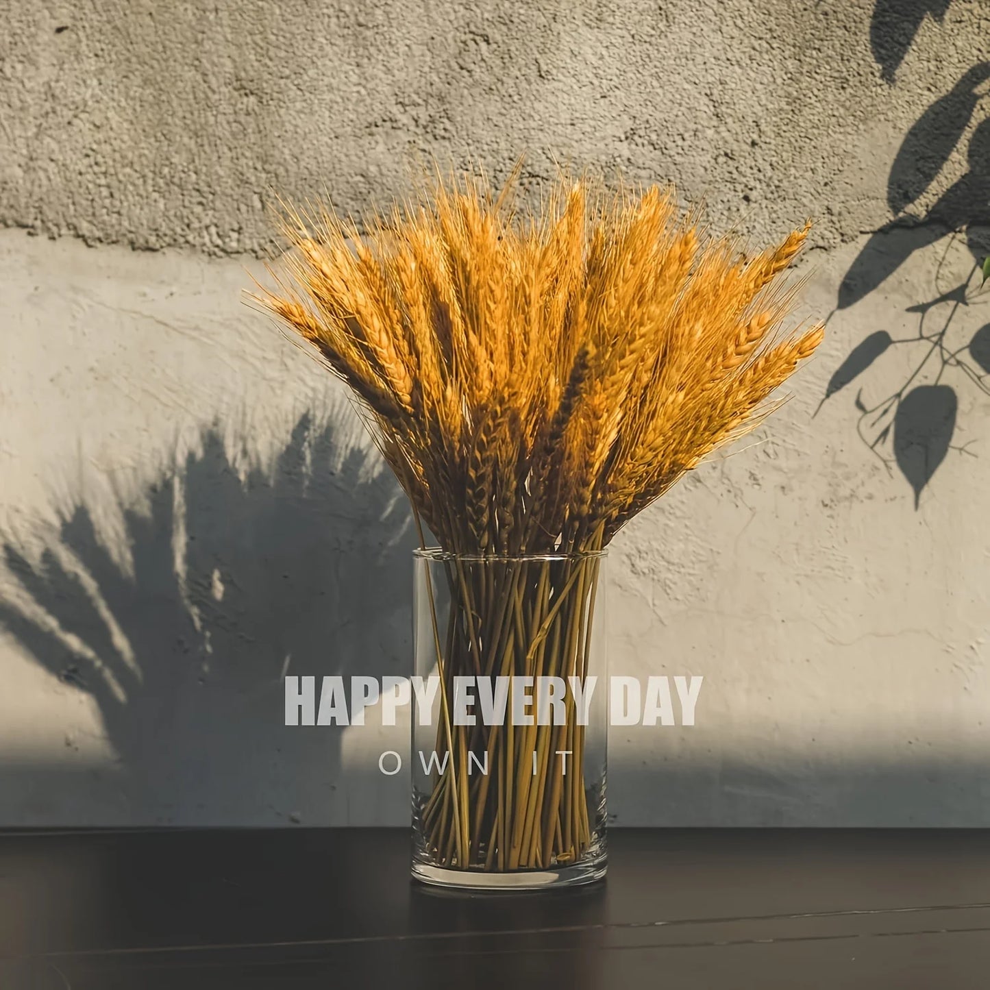 Glass Cylinder Vase, 5.5 英寸, 6 英寸 Tall Clear Vase, Hurricane Candle Holder for Wedding Party Home Decor