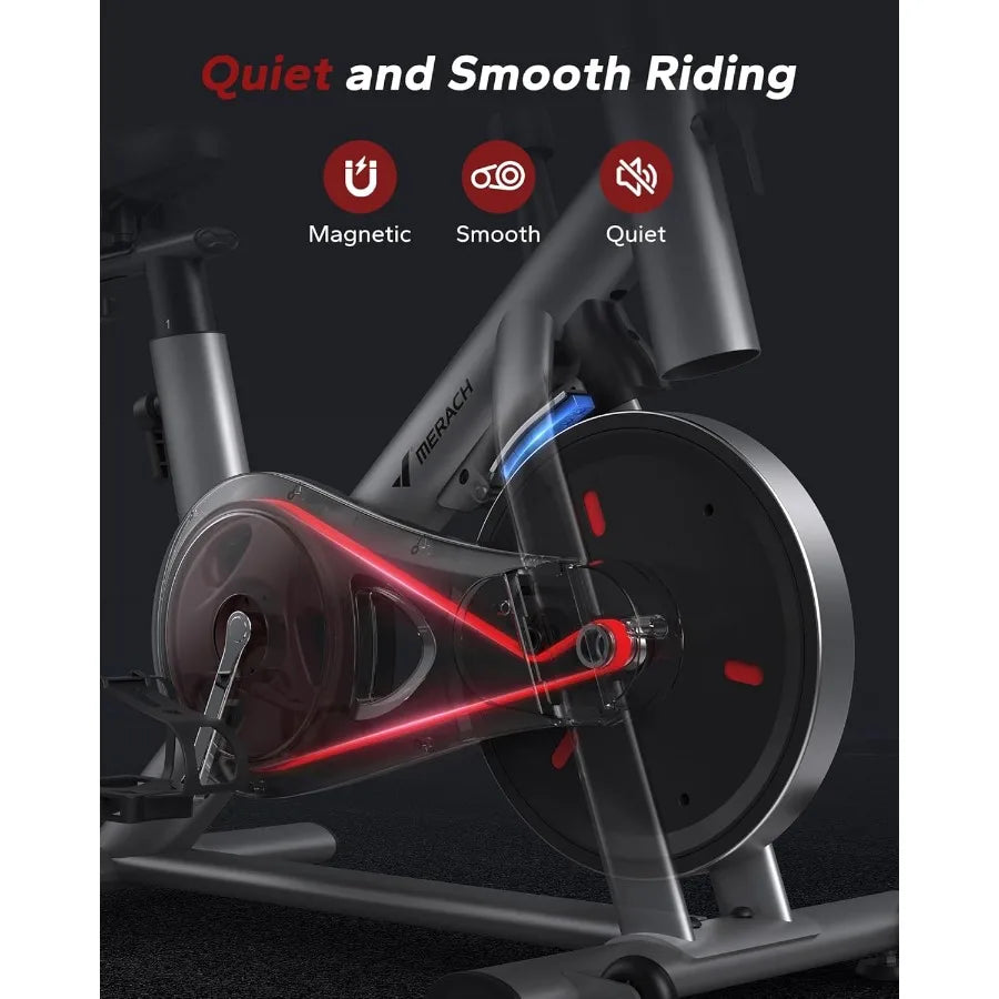 Exercise Bike, Brake Pad Stationary Bike, Low Noise Indoor Cycling Bike with 300lbs Weight Capacity, Tablet Mount and Fitness Co