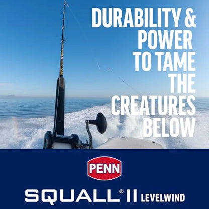 6'6 Squall II Level Wind Saltwater Rod and Reel Fishing Combo 1-Piece Fishing Rod Black Gold with High-Performance Material for