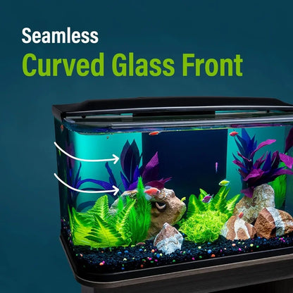20 Gallon Glass Aquarium Kit with LED Lighting and Built in Filtration Ideal for Beginners and Experts Curved Seamless Design