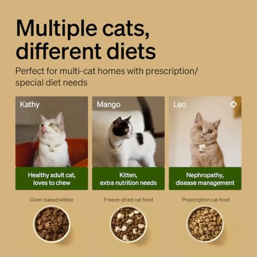 RFID Automatic Cat Feeder Water Fountain Collar Tag Activated Personalized Feeding Fresh Water for Multi-Pet Homes Wi-Fi Progra