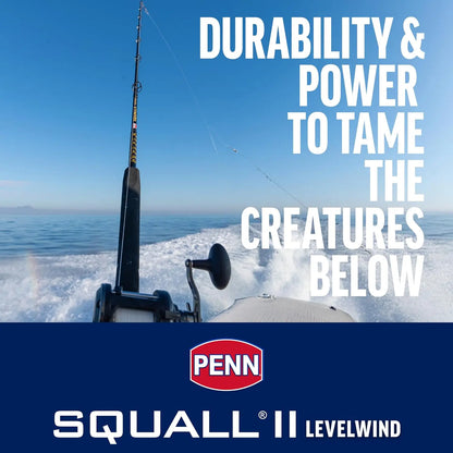 6'6" Saltwater Fishing Rod and Reel Combo, 1-Piece Medium Heavy Fast Action, Black/Gold