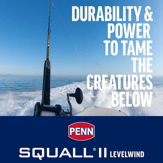 6'6" Saltwater Fishing Rod and Reel Combo, 1-Piece Medium Heavy Fast Action, Black/Gold