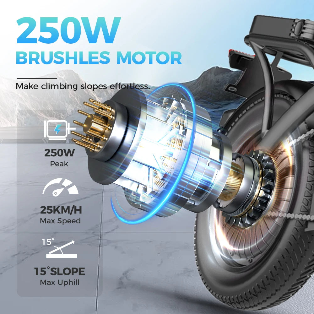 EU Warehouse Electric Bike Bicycle Exercise Electric City Bike E Bike TOOFLY Folding Ebike 250W