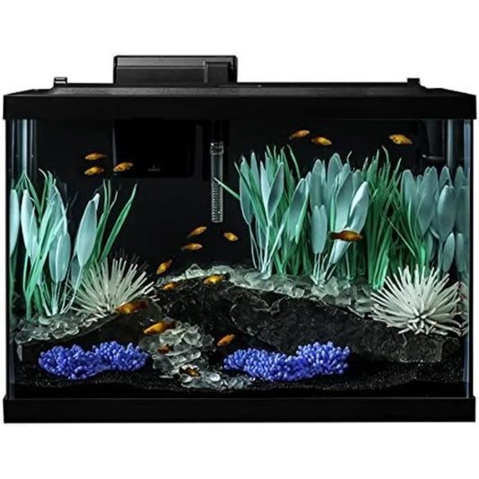 20 Gallon Aquarium Kit with LED Lighting and Decor for Vibrant Fish Display